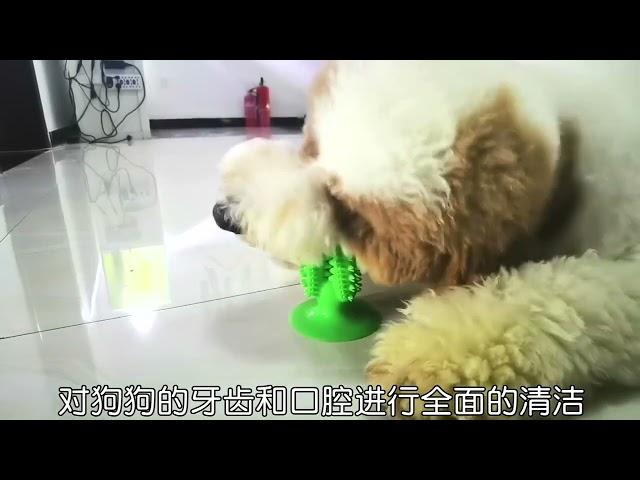 Dog Teeth Cleaning Toy