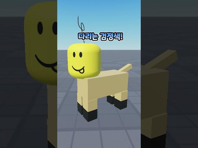 이 펫을 선물로 드려요! 2탄!