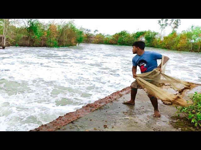 Unbelievable Cast Net Fishing - Fisherman vs River Catch Netting