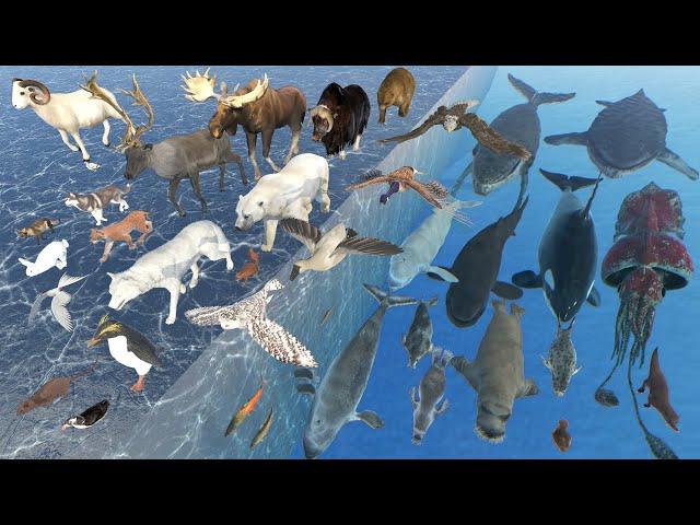 Arctic Animal Size Comparison | 3D Animation | Realistic World Data