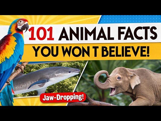 101 Jaw Dropping Animal Facts You Need to Know!