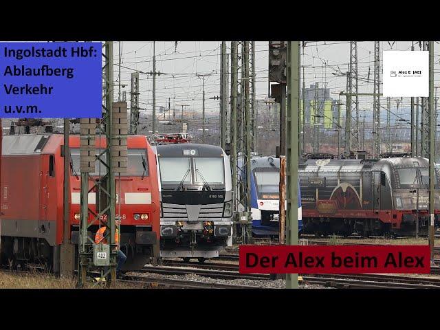 Alex E beim ALEX in Ingolstadt aufm Ablaufberg |  Alex E
