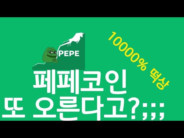 페페코인 떡상신호? 업비트 pepe 밈코인 봉크 비트코인 10만불.