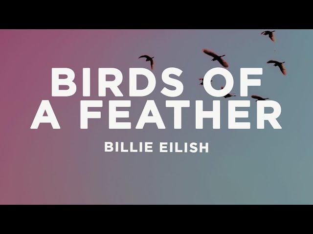 Billie Eilish - BIRDS OF A FEATHER (Lyrics)