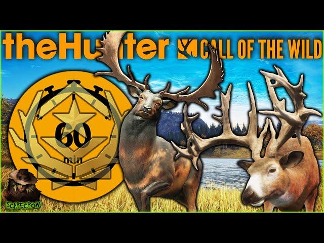 We MUST Get A Great One In 60 Minutes OR ELSE! Call of the wild