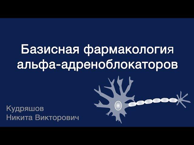 Базисная фармакология альфа-адреноблокаторов