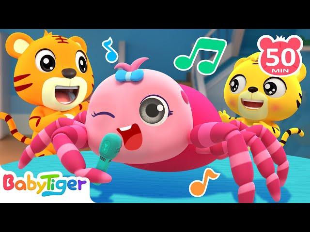 Little Spider's Big Adventure + More Nursery Rhymes & Animal Songs For Kids | BabyTiger