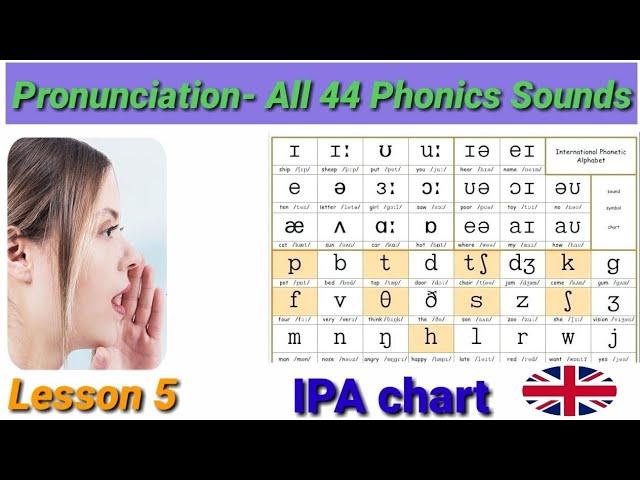 Phonemic Chart S1 :Sounds of English Vowels and Consonants with   phonetic symbols / English Studies