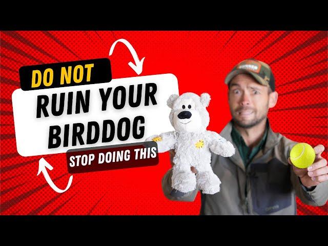 Dog Toys That Are Bad For Your Bird Dog!