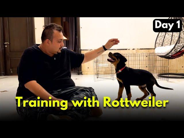 HOW to Train Rottweiler Puppy Day-1 | 30 Days Puppy Training