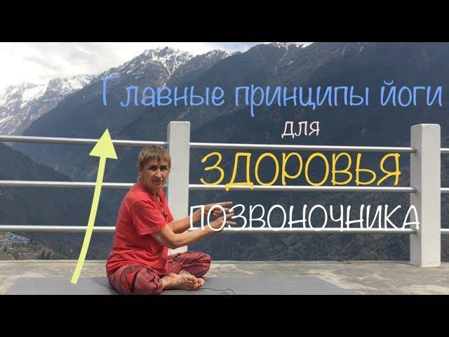 Главные принципы йоги для здоровья позвоночника | Татьяна Марина