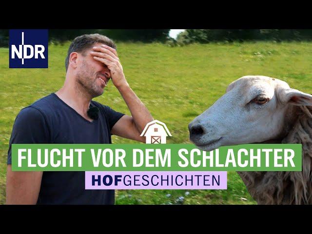 Freigeister der Weiden | ARD-Hofgeschichten - Ackern zwischen Alpen und Ostsee | Staffel 2 | F4