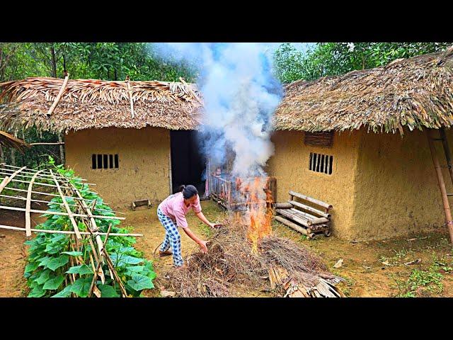 Single mother Ly Tieu Ca harvests vegetables to sell: Preparing to plant a new crop