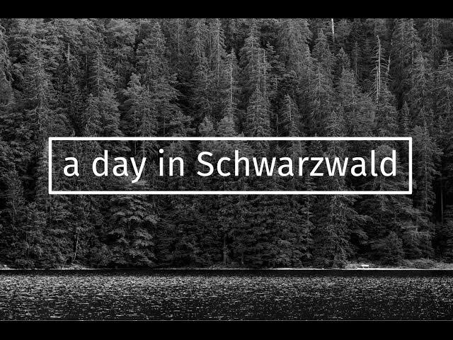 A DAY IN SCHWARZWALD (the Black Forest)