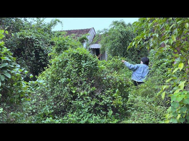 Female student terrified upon moving into an overgrown abandoned house