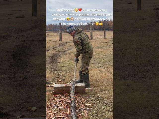 Готовим жерди 🪓 стройка забора  #фермерскоехозяйство #якутия #ферма #крс
