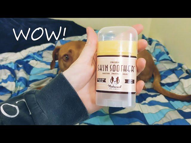 Unboxing Natural Dog Company Product Review