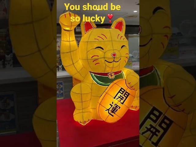 You shoud be so lucky️