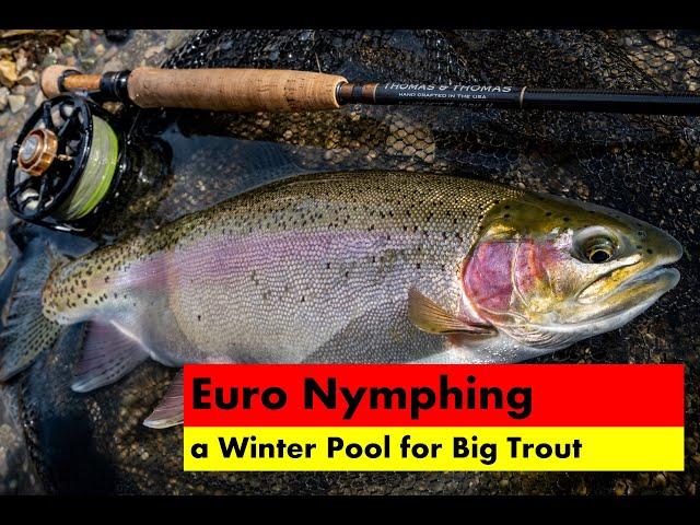 Euro-Nymphing a Winter Pool for Big Trout