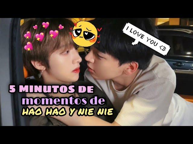 5 minutos de momentos de hao hao y nie nie pt.1