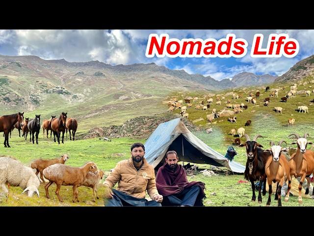 First Day With Bakrwals Nomads in Heavy Rain And snowfall  | Naran Kaghan