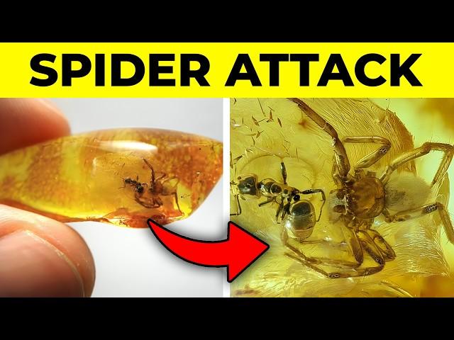 25 Most Bizarre Fossils Ever Discovered
