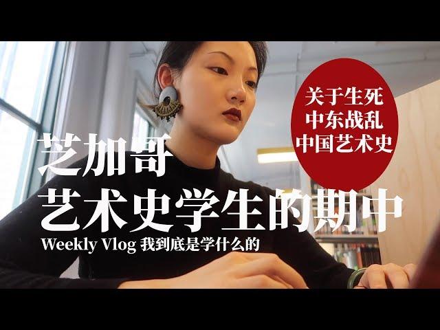 VLOG美国艺术史学生的期中|时间管理|缓解压力为何休学