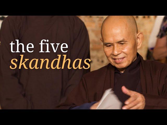 Looking Deeply into Your Five Skandhas | Teaching by Thich Nhat Hanh | #mindfulness