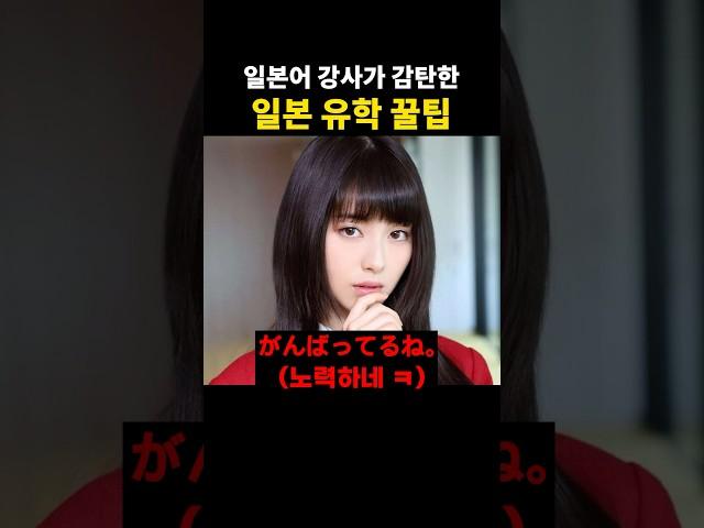 일본어 강사가 감탄한 일본 유학 꿀팁