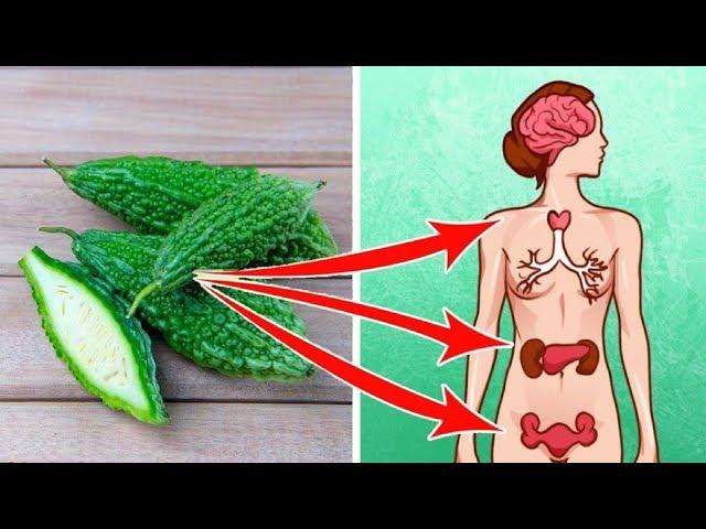 6 Amazing Things Bitter Gourd Can Do To Your Body