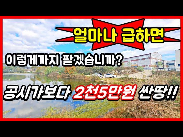 [긴급속보] 급매물 싼땅! 얼마나 급했으면 공시가보다 2,500만원 싸게 팔겠습니까? 저수지 뷰 585평 잘 생긴 땅 매매! #착한부동산