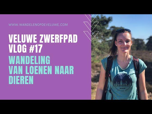 Veluwe Zwerfpad #17 / Loenen - Dieren