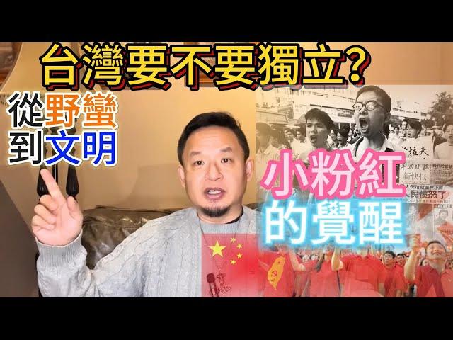 從小粉紅到文明社會人的蛻變：一個中國人移民的心路歷程  | 台灣、香港及西藏獨立問題大老王的巧妙話術 #台灣 #小粉紅