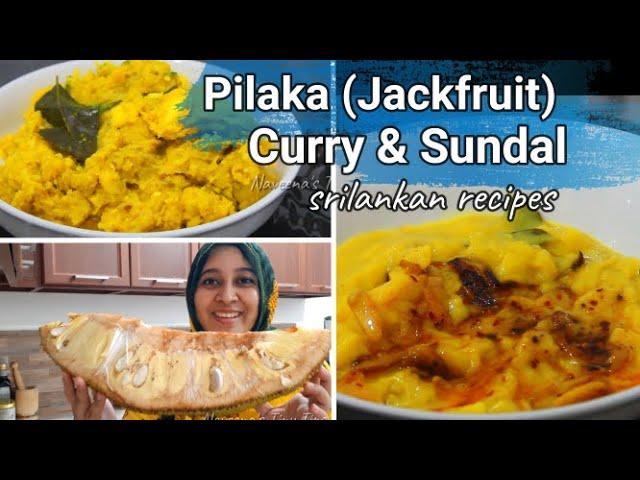 Srilankan Pilaka curry & pilaka sundal / Naveenas's Tiny Tips/ Srilankan food recipes in tamil