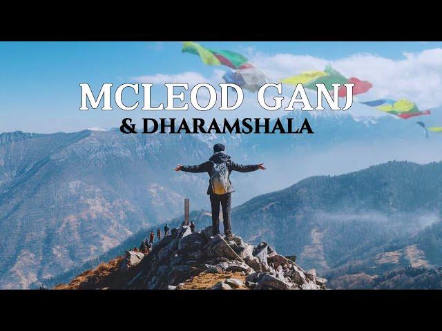 DHARAMSHALA | TOURIST PLACES | MCLEOD-GANJ | TRIUND TREK | GUIDE AND ITINERARY | #dharamshala #trek