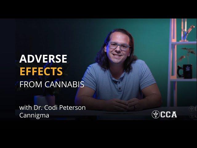 Adverse Effects Of Cannabis