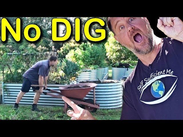 How to "No DIG" Gardening in a Raised Vegetable Bed