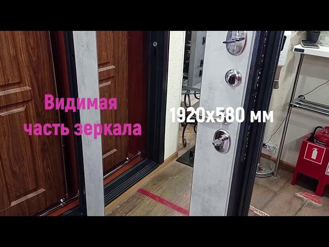 Обзор двери «Спартак» с зеркалом