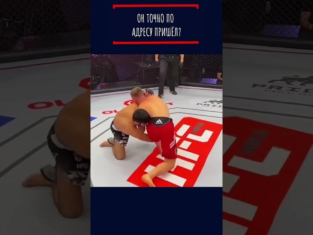 Обезьяна в октагоне — финал неожиданный! #ufc #мма #бой #файтинг