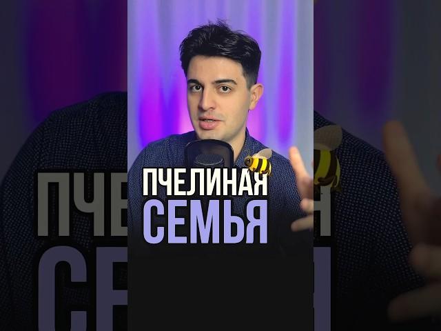 Как устроена пчелиная семья для ЕГЭ/ОГЭ по биологии