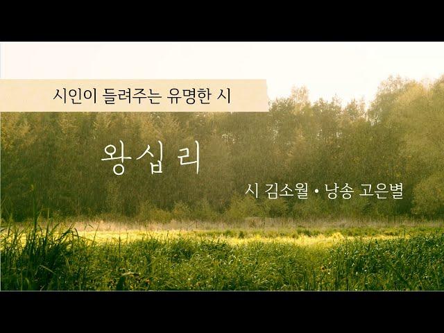 [유명한 시] 왕십리 - 김소월 | 작가가 읽어주는 오디오북 | ASMR