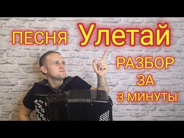 Разбор песни Улетай на баяне. Уроки по баяну. Улетай на крыльях ветра.