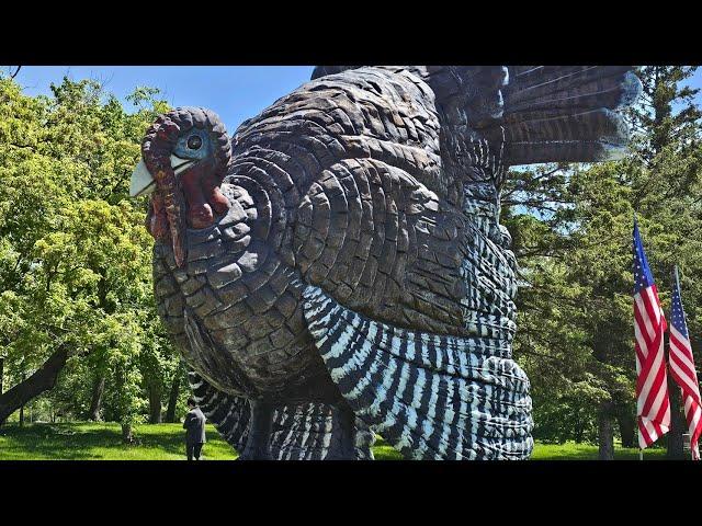 The World's Largest Turkey