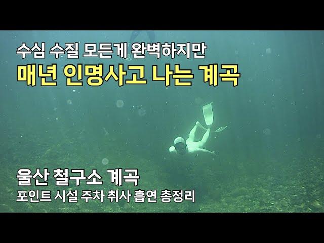 [울산, 수심4.5M] 수심 수질 시설 모든게 완벽한 계곡 / 올해 여름 계곡은 여기 어떠신가요?