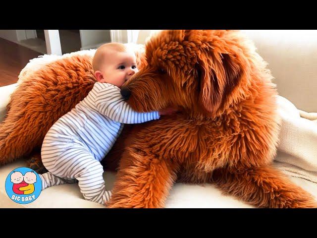 When Your Baby And Pet Being Best Friend  Baby Cute Moments - Funny Baby Videos | Big Baby