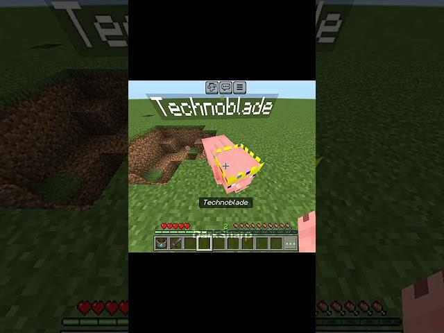 Minecraft TechnoBlade 