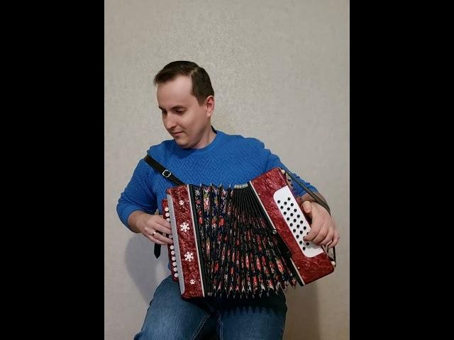 Красивая цыганочка на гармони #гармонь #гармошка #циганочка #beautifulmusic #красиваямузыка  #music