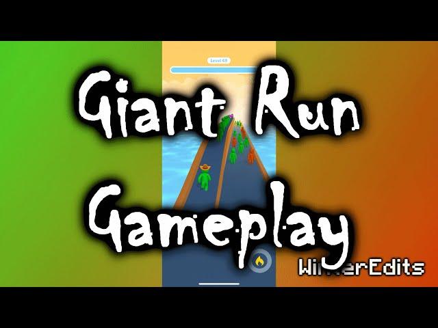 Giant Run 3D - Level 50 Gameplay By WinterEdits