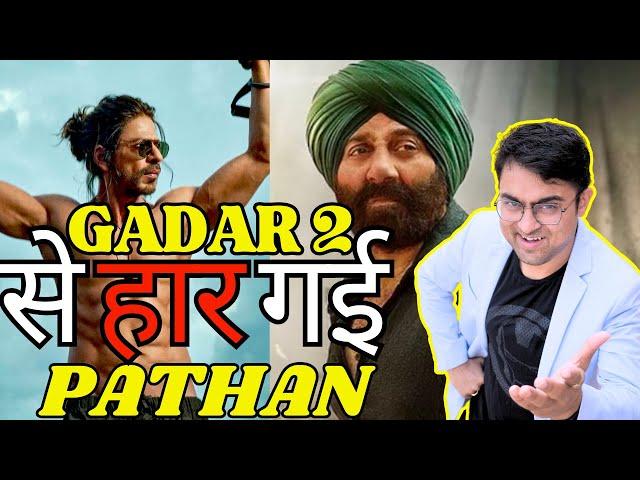 Gadar 2 vs Pathan Box Office Collection #gadar2 #pathan #srk #sunnydeol