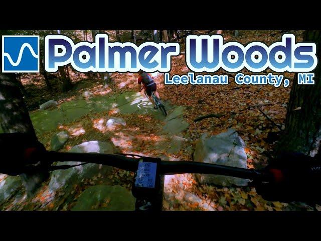 NEW Mtb rail Preview | Palmer Woods | Chaga, Lion's Mane, Turkey Tail